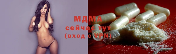 шишки Тайга