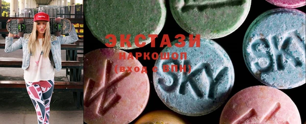 шишки Тайга
