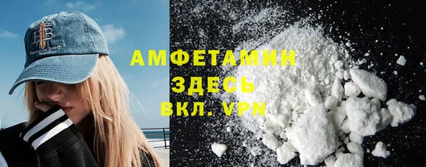 шишки Тайга