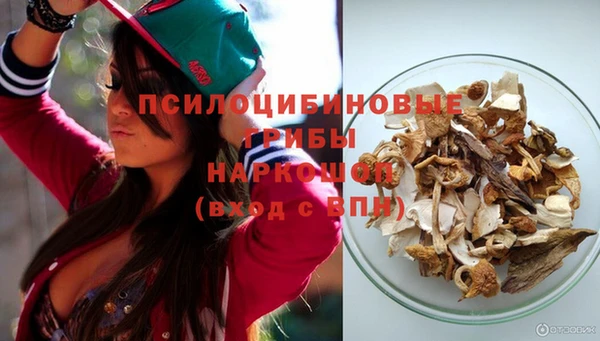 шишки Тайга