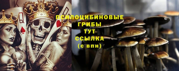 mix Сясьстрой