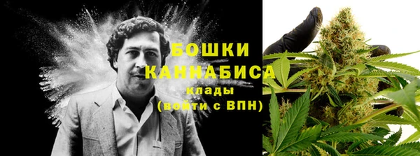 ALPHA-PVP Строитель