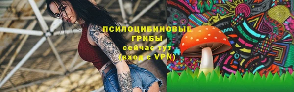 спиды Струнино