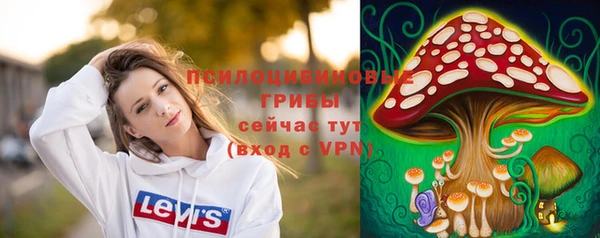 ALPHA-PVP Строитель